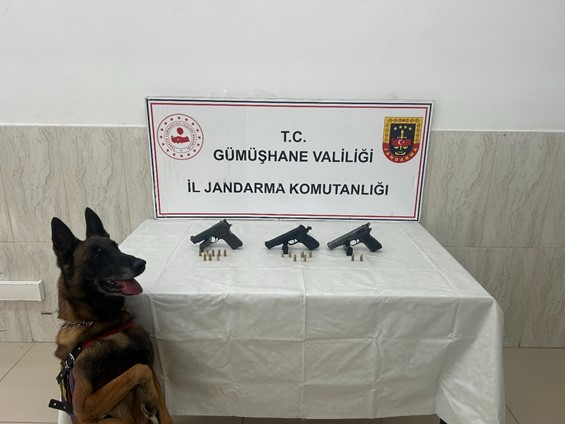 Jandarma Köpek Timleri