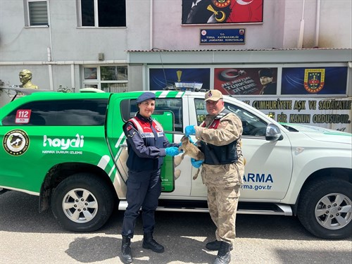 Jandarma Doğadaki Dostlarının Yanında.