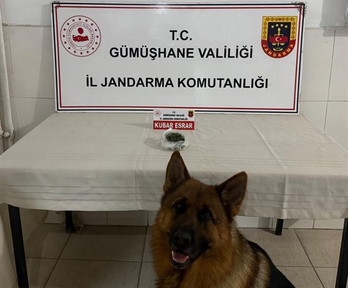 Uyuşturucu ve Uyarıcı Madde Operasyonu